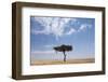 Lone Acacia Tree in Savanna-null-Framed Photographic Print