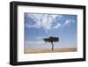 Lone Acacia Tree in Savanna-null-Framed Photographic Print