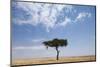 Lone Acacia Tree in Savanna-null-Mounted Photographic Print