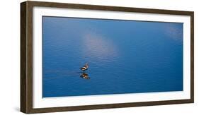 Lone Bird On Owens Lake, 2018-null-Framed Photographic Print