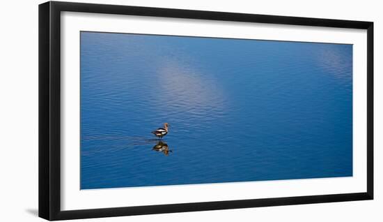 Lone Bird On Owens Lake, 2018-null-Framed Photographic Print