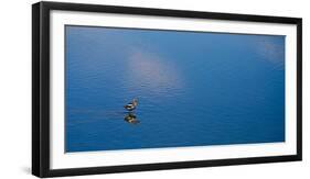 Lone Bird On Owens Lake, 2018-null-Framed Photographic Print