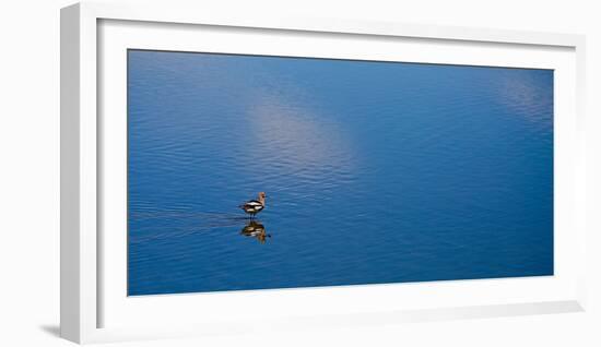 Lone Bird On Owens Lake, 2018-null-Framed Photographic Print