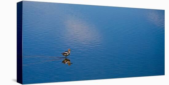 Lone Bird On Owens Lake, 2018-null-Stretched Canvas