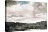 Lone Boat, North Woods Club, Adirondacks-Winslow Homer-Stretched Canvas