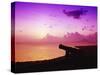 Lone Brimstone Hill Fortress Cannon at Sunset-Bob Krist-Stretched Canvas