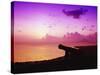 Lone Brimstone Hill Fortress Cannon at Sunset-Bob Krist-Stretched Canvas