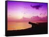 Lone Brimstone Hill Fortress Cannon at Sunset-Bob Krist-Framed Stretched Canvas