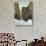 Lone Buffalo-Rusty Frentner-Giclee Print displayed on a wall