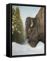 Lone Buffalo-Rusty Frentner-Framed Stretched Canvas