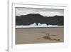 Lone Bush on Lago Grey Lakeshore-Eleanor-Framed Photographic Print