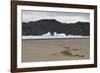 Lone Bush on Lago Grey Lakeshore-Eleanor-Framed Photographic Print