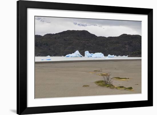 Lone Bush on Lago Grey Lakeshore-Eleanor-Framed Photographic Print