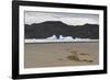 Lone Bush on Lago Grey Lakeshore-Eleanor-Framed Photographic Print