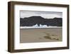 Lone Bush on Lago Grey Lakeshore-Eleanor-Framed Photographic Print