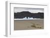 Lone Bush on Lago Grey Lakeshore-Eleanor-Framed Photographic Print