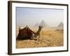 Lone Camel Gazes Across the Giza Plateau Outside Cairo, Egypt-Dave Bartruff-Framed Photographic Print