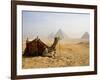 Lone Camel Gazes Across the Giza Plateau Outside Cairo, Egypt-Dave Bartruff-Framed Photographic Print