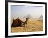 Lone Camel Gazes Across the Giza Plateau Outside Cairo, Egypt-Dave Bartruff-Framed Photographic Print