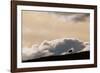 Lone Caribou in Denali National Park-Paul Souders-Framed Photographic Print