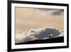 Lone Caribou in Denali National Park-Paul Souders-Framed Photographic Print