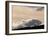 Lone Caribou in Denali National Park-Paul Souders-Framed Photographic Print