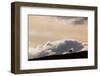 Lone Caribou in Denali National Park-Paul Souders-Framed Photographic Print