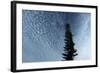 Lone Cedar Sky-Robert Goldwitz-Framed Photographic Print