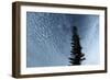 Lone Cedar Sky-Robert Goldwitz-Framed Photographic Print