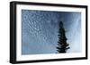 Lone Cedar Sky-Robert Goldwitz-Framed Photographic Print