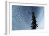 Lone Cedar Sky-Robert Goldwitz-Framed Photographic Print