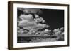 Lone Cedar Tree, New Mexico-Steve Gadomski-Framed Photographic Print