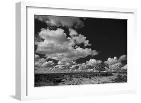 Lone Cedar Tree, New Mexico-Steve Gadomski-Framed Photographic Print