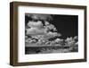 Lone Cedar Tree, New Mexico-Steve Gadomski-Framed Photographic Print