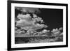 Lone Cedar Tree, New Mexico-Steve Gadomski-Framed Photographic Print