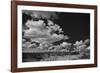 Lone Cedar Tree, New Mexico-Steve Gadomski-Framed Photographic Print