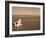 Lone Chair on Empty Beach-null-Framed Photographic Print