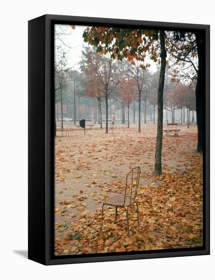 Lone Chair Sitting Amongst Fallen Leaves in Tuileries Gardens-Alfred Eisenstaedt-Framed Stretched Canvas
