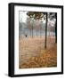 Lone Chair Sitting Amongst Fallen Leaves in Tuileries Gardens-Alfred Eisenstaedt-Framed Photographic Print