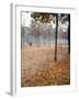 Lone Chair Sitting Amongst Fallen Leaves in Tuileries Gardens-Alfred Eisenstaedt-Framed Photographic Print