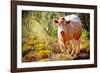 Lone Cow In New Mexico, 2017-null-Framed Photographic Print