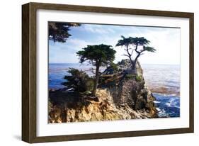Lone Cypress 2-Alan Hausenflock-Framed Photographic Print
