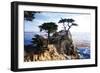 Lone Cypress 2-Alan Hausenflock-Framed Photographic Print