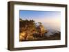 Lone Cypress Growing on Cliff, California, USA-Massimo Borchi-Framed Photographic Print