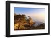 Lone Cypress Growing on Cliff, California, USA-Massimo Borchi-Framed Photographic Print