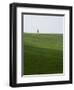 Lone Cypress in Corn Fields Near Pienza, Val d'Orcia, Tuscany, Italy-Angelo Cavalli-Framed Photographic Print