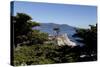 Lone Cypress on the 17-Mile Drive, Monterey Peninsula, California-Carol Highsmith-Stretched Canvas