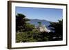Lone Cypress on the 17-Mile Drive, Monterey Peninsula, California-Carol Highsmith-Framed Photo
