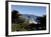 Lone Cypress on the 17-Mile Drive, Monterey Peninsula, California-Carol Highsmith-Framed Photo