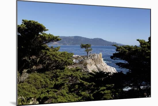 Lone Cypress on the 17-Mile Drive, Monterey Peninsula, California-Carol Highsmith-Mounted Photo